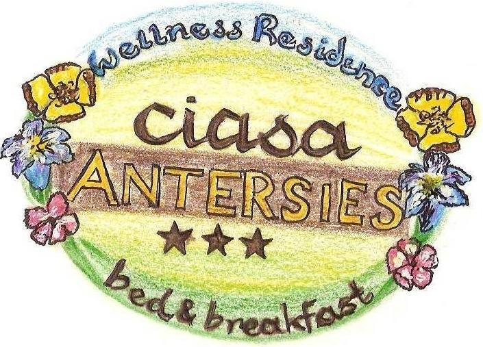 Family And Wellness Residence Ciasa Antersies San Cassiano  Εξωτερικό φωτογραφία
